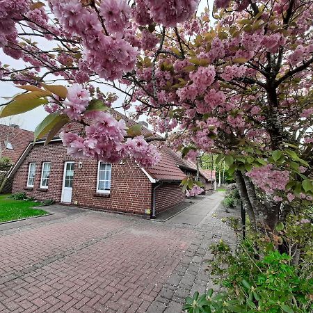 Ebbe Apartment Norden Bagian luar foto