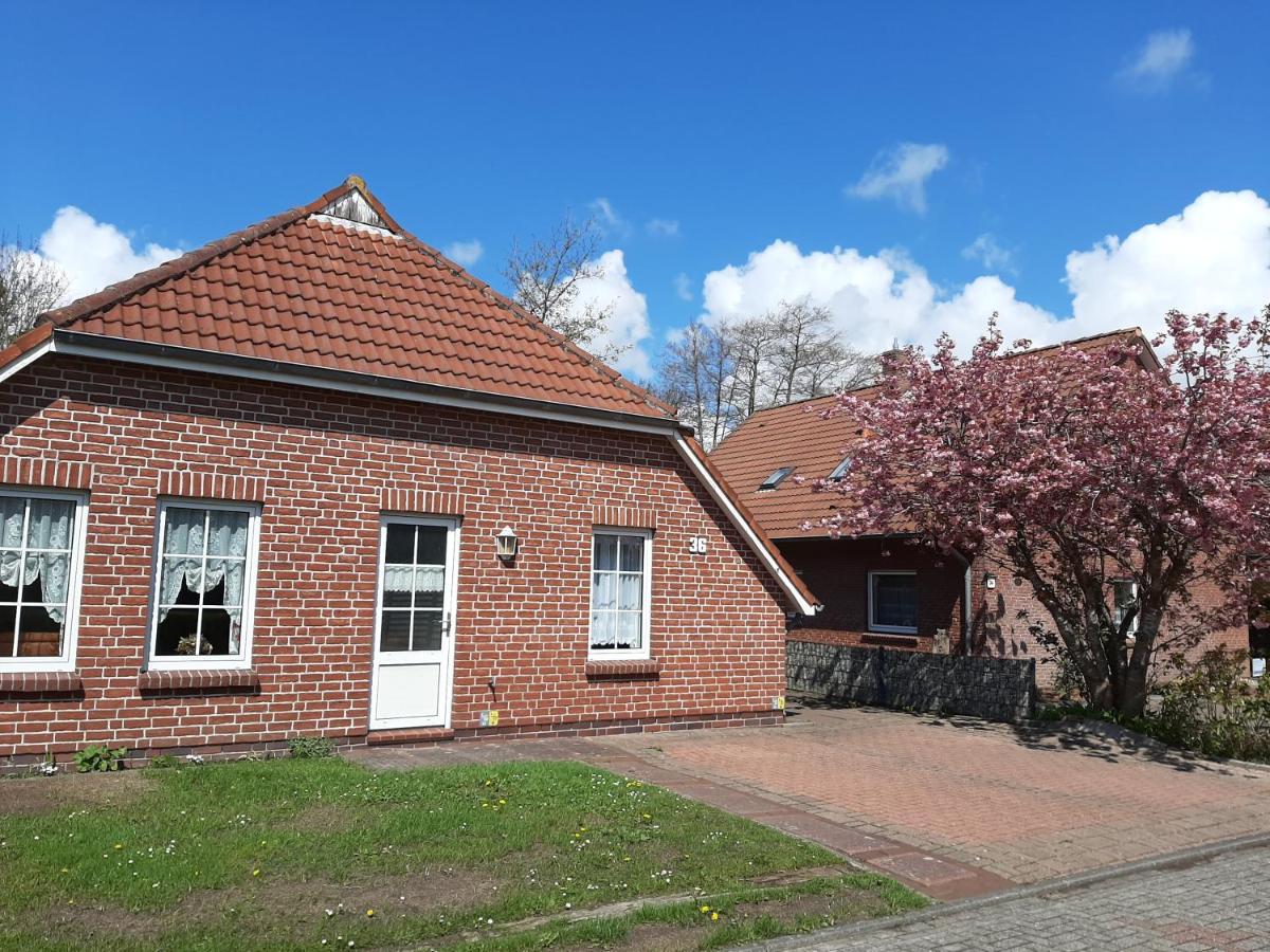 Ebbe Apartment Norden Bagian luar foto
